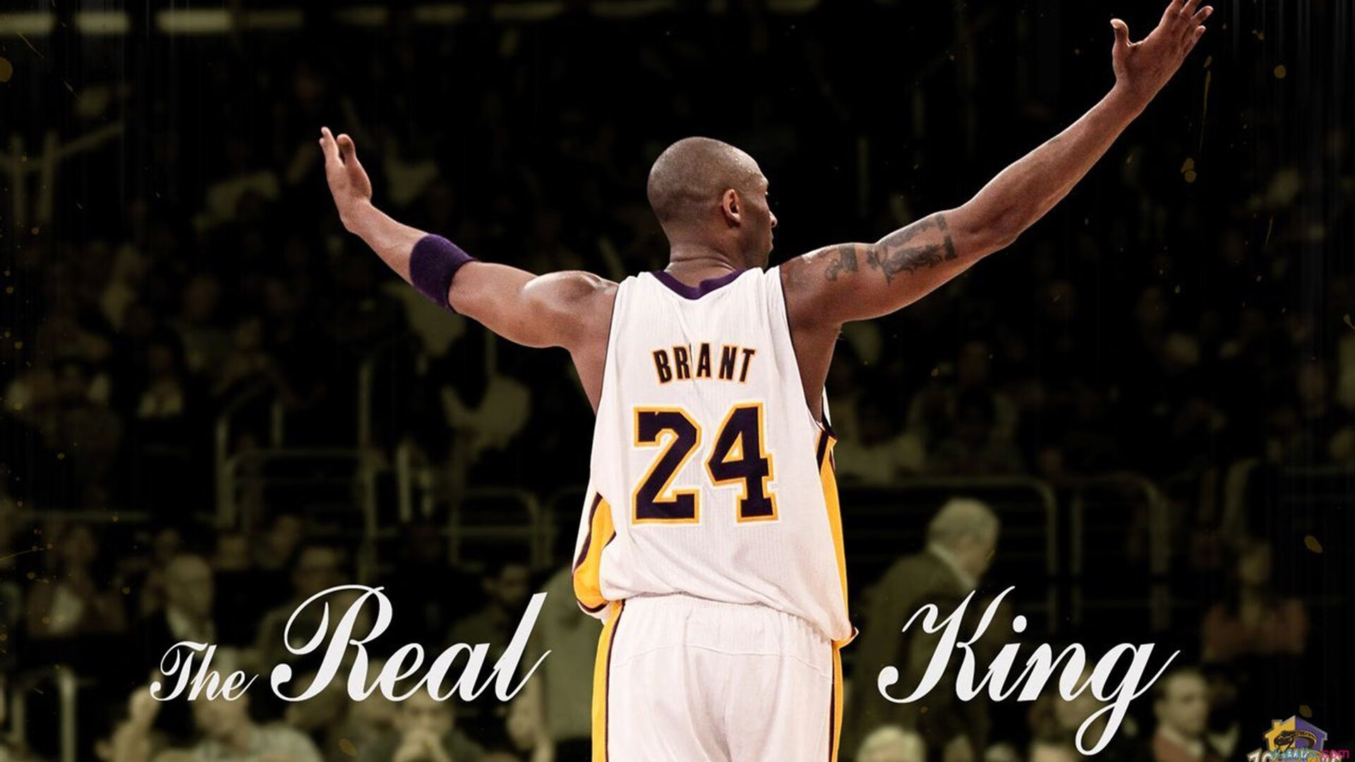 开云体育下载-战术之王，佩雷兹绝妙一停，索伯车队智取雷诺